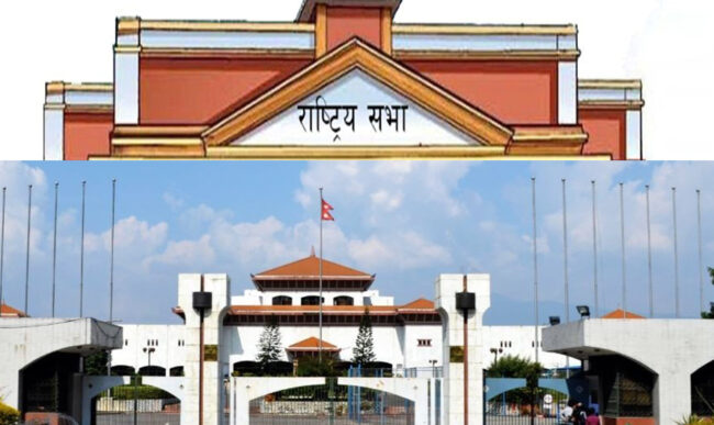 भिआईपीकाे मर्यादाक्रमसम्बन्धी विधेयक संशोधनसहित पारित, यस्ताे छ मर्यादाक्रम (सूचीसहित)