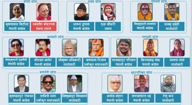 कोशीमा सिटौलासहित सातै प्रदेशमा सत्ता गठबन्धनका उम्मेदवार विजयी