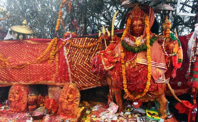 पाथीभरामा एक महिनामा १६ लाख ५० हजारभन्दा बढी भेटी सङ्कलन