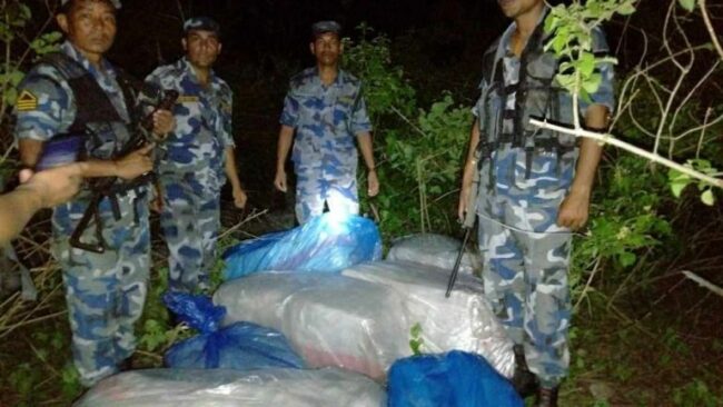 उदयपुरबाट फेरि तीन सय केजी गाँजा बरामद