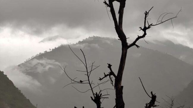 आजको मौसम : पश्चिमी वायुको सामान्य प्रभाव