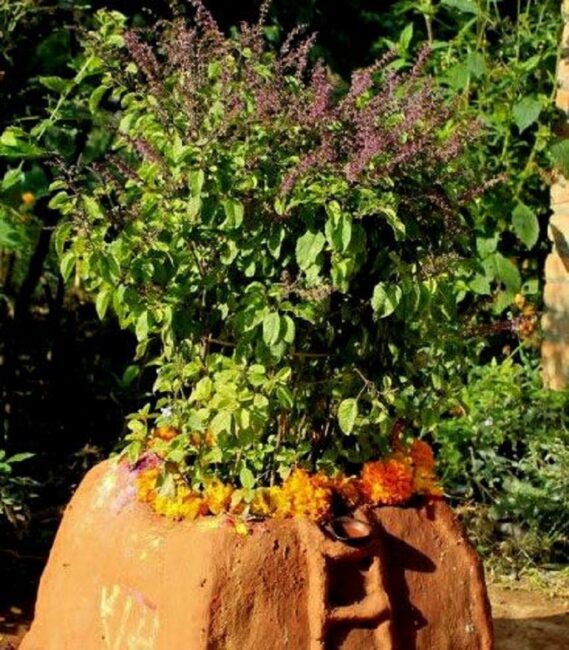 बाग्लुङको निरयघाटमा चौबीस वर्षपछि हरिबोधनी एकादशी मेला हुने