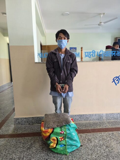 १० केजी गाजासहित भेडेटारबाट १ जना पक्राउ