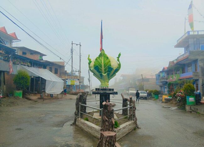 धनकुटाको सिधुवा बजारमा स्थानीयले गरे काउली स्तम्भ रङ्ग रोगन र मर्मत