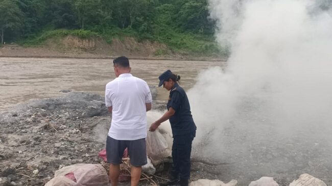 धनकुटाको तमोर नदी किनारमा ५२०९ केजी गाँजा नष्ट