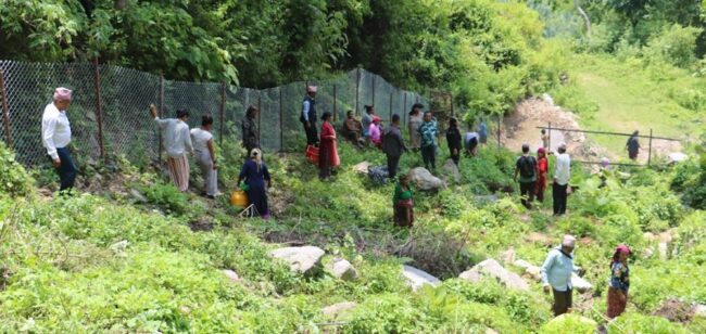 धनकुटाको कागियोघारी सामुदायिक वनमा वृक्षरोपण