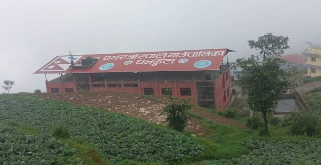 शनिबार र आइतबार पनि धनकुटाका दुई पालिकामा विदा नहुने, नियमित कार्यालय सञ्चालन हुने